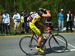 Bear 2009